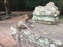 Angkor Wat (650952)