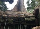 Angkor Wat (650928)
