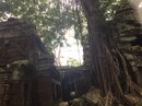 Angkor Wat (650947)