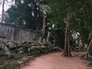 Angkor Wat (650835)