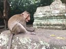Angkor Wat (650977)