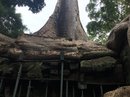 Angkor Wat (651139)