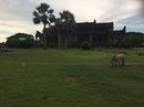 Angkor Wat (651270)