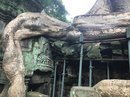 Angkor Wat (651181)