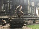 Angkor Wat (651346)