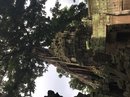 Angkor Wat (651751)