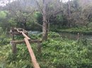 Daytrip to Kuang Si Falls (656785)