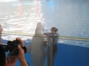 Trip to Sea World (13936)