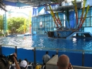 Trip to Sea World (13970)