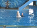 Trip to Sea World (13971)