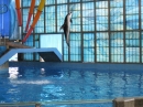 Trip to Sea World (13932)