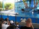 Trip to Sea World (13963)