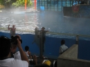 Trip to Sea World (13843)