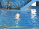 Trip to Sea World (13887)