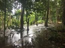 Daytrip to Kuang Si Falls (656956)