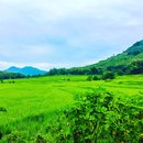 Daytrip to Kuang Si Falls (657202)