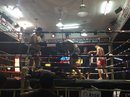 Muay Thai Fight (659961)