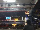 Muay Thai Fight (660032)
