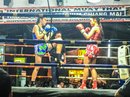 Muay Thai Fight (660233)