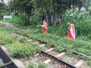 Yangon - 3 Hour Train Ride (660169)