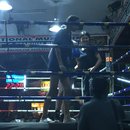 Muay Thai Fight (660130)