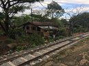 Yangon - 3 Hour Train Ride (660504)