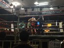 Muay Thai Fight (660393)