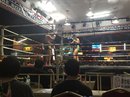 Muay Thai Fight (660519)