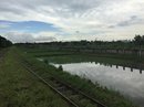 Yangon - 3 Hour Train Ride (660647)