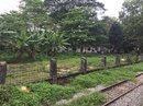 Yangon - 3 Hour Train Ride (660678)