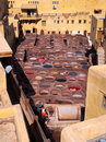 Fes, Morocco (665613)