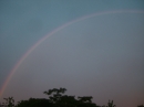 Prairie Knoll Rainbow (14096)