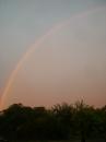 Prairie Knoll Rainbow (14043)