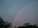 Prairie Knoll Rainbow (14094)