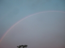 Prairie Knoll Rainbow (14046)