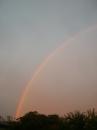 Prairie Knoll Rainbow (14080)