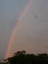 Prairie Knoll Rainbow (14092)