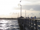 Corpus Fishing Pier (14238)
