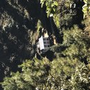 Kyirmu Lodge and Phaplu (667812)