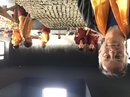 Mark's Recon Trip to Nepal (671571)