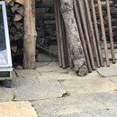 Marks Nepal Recon Trip (672639)