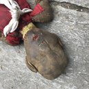 Mani Rimdu Festival (673346)