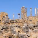 Daytrip to Volubilis (673876)