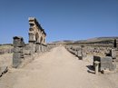 Daytrip to Volubilis (674779)