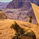 Full Day Hiking Petra (675819)