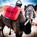 Lalla Takerkoust (675814)