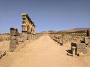 Daytrip to Volubilis (677038)