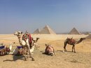 Pyramids of Giza (678292)