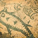 Daytrip to Volubilis (678886)