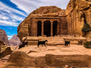 Full Day Hiking Petra (679049)